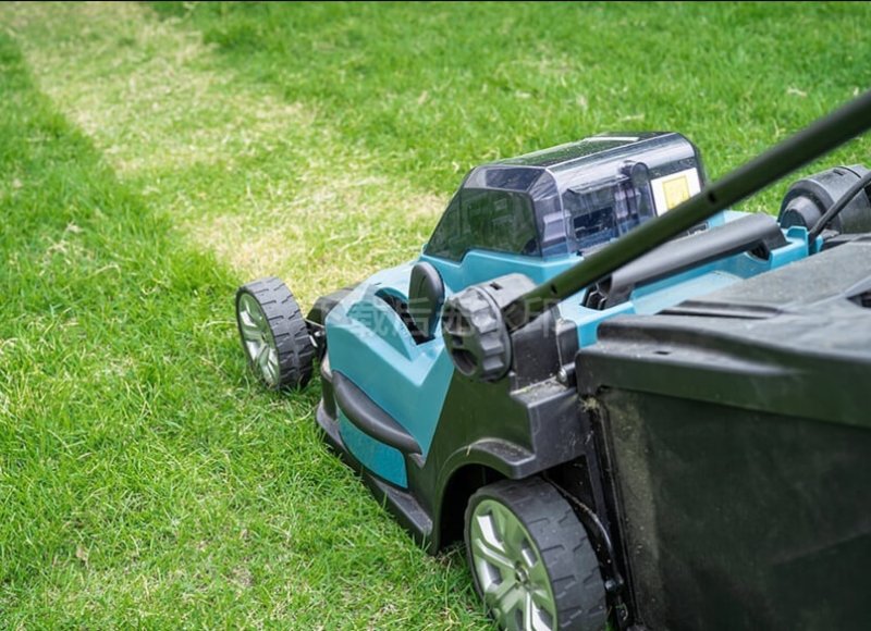 Le esportazioni di carri pieghevoli raggiungono un livello record con l'espansione del mercato globale