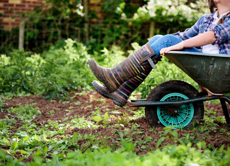 I carrelli pieghevoli comodi e resistenti ottengono un ampio riconoscimento