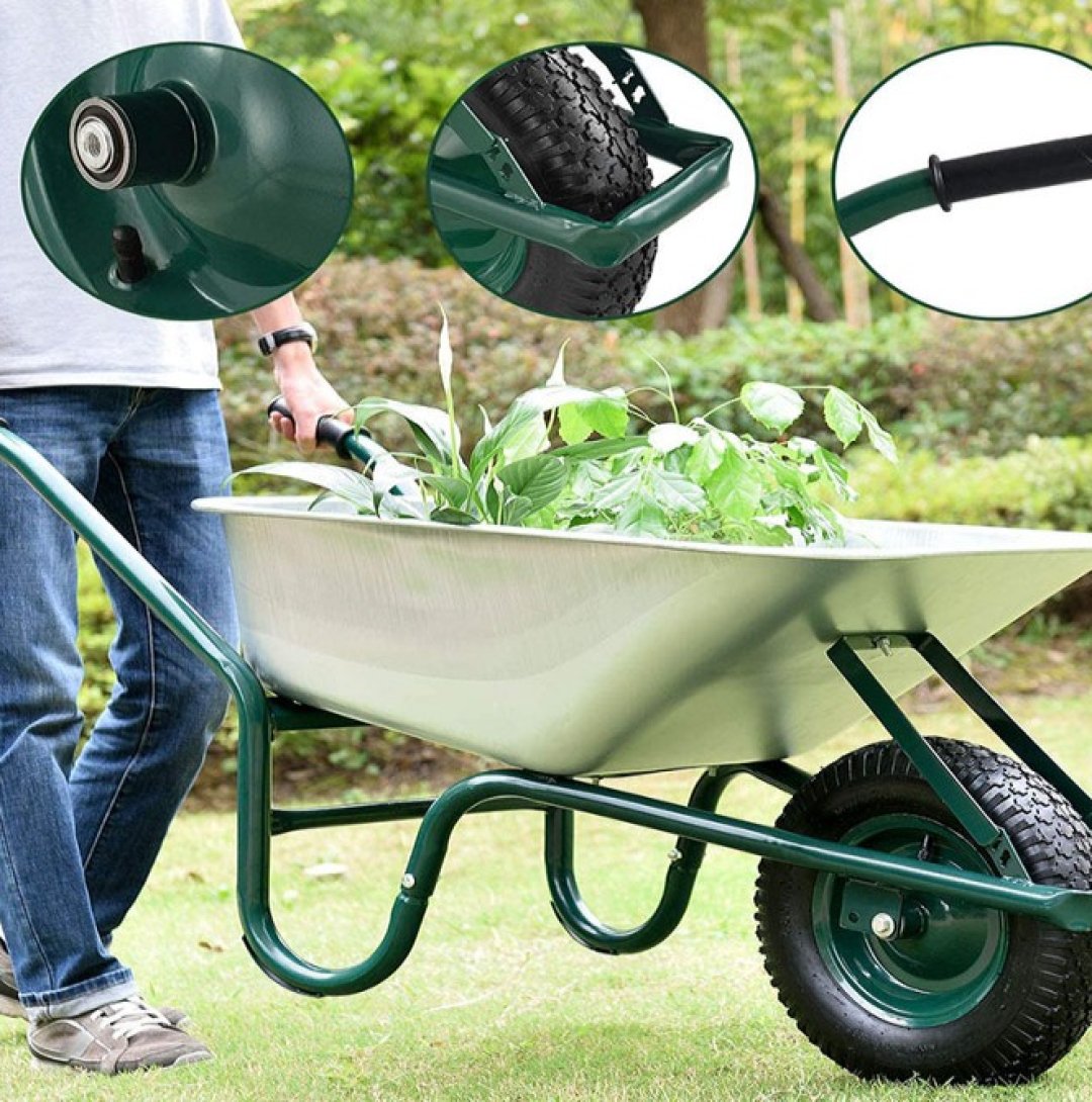 _0001_81jJNIo-xNL._AC_SL1500_