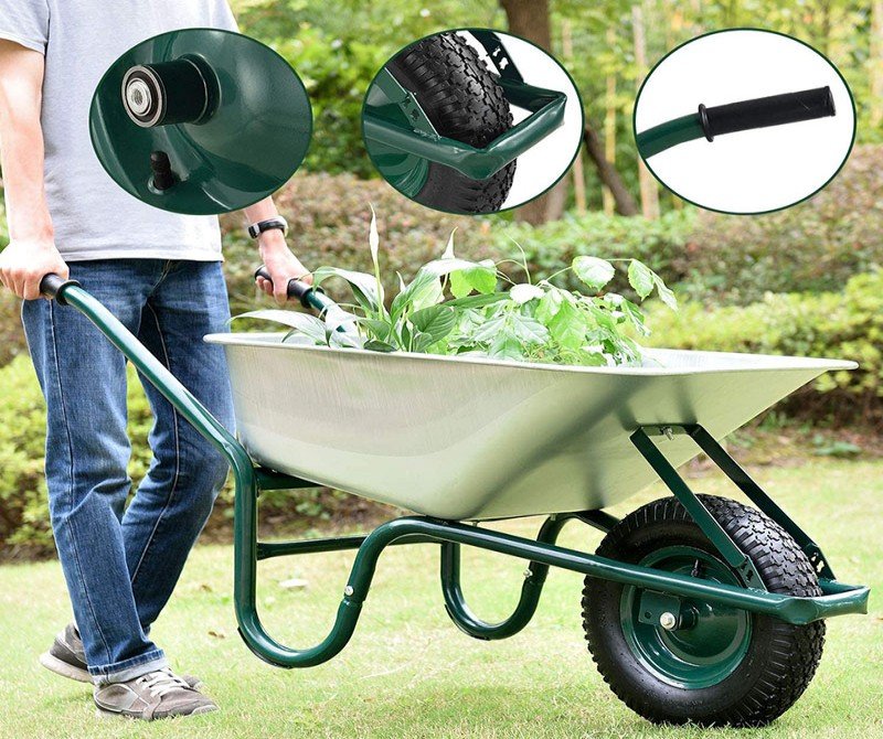 _0001_81jJNIo-xNL._AC_SL1500_